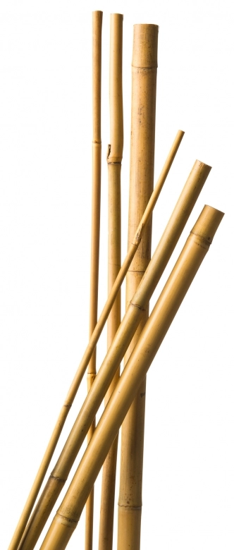 Bambuszkaró